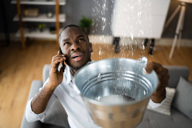 Best Flood restoration services  in Hahira, GA