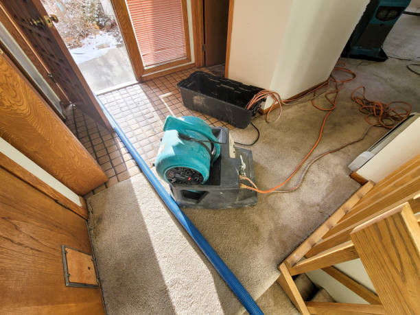 Best Water damage restoration near me  in Hahira, GA