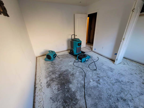 Best Water damage cleanup near me  in Hahira, GA