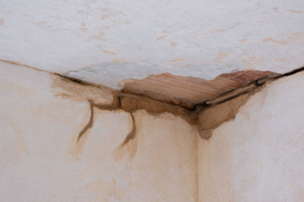 Best 24/7 water damage repair  in Hahira, GA
