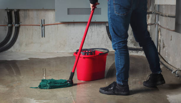 Best Carpet water damage restoration  in Hahira, GA