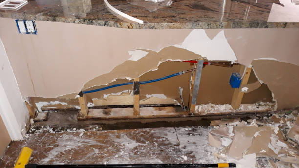 Best Sewage cleanup and water damage restoration  in Hahira, GA
