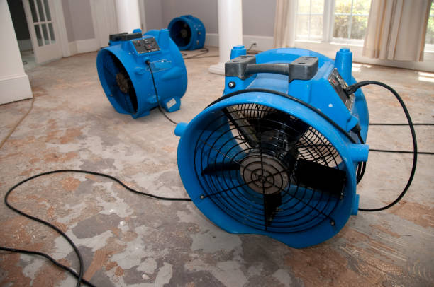 Best Flood damage cleanup  in Hahira, GA