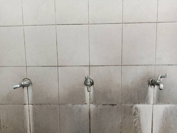 Best Residential water damage restoration  in Hahira, GA