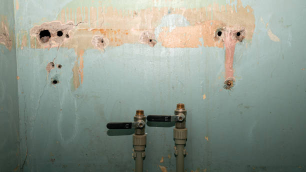 Best Water damage contractors near me  in Hahira, GA