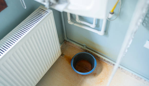 Best Mold removal after water damage  in Hahira, GA
