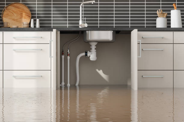 Best Flood restoration services  in Hahira, GA