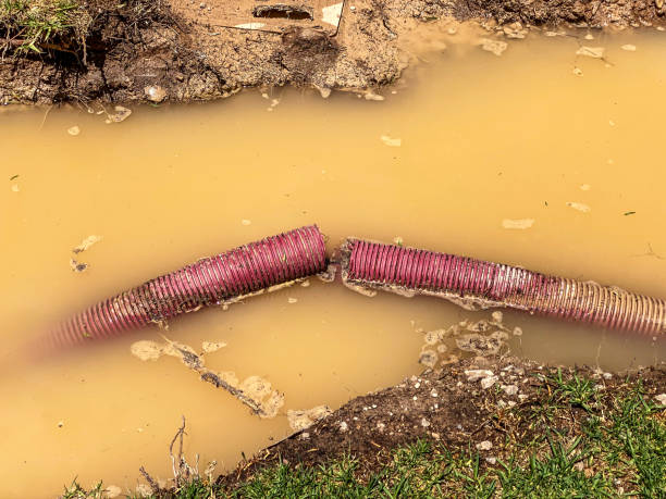 Best Carpet water damage restoration  in Hahira, GA