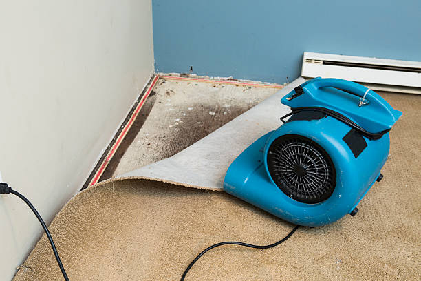 Best Water damage cleanup near me  in Hahira, GA